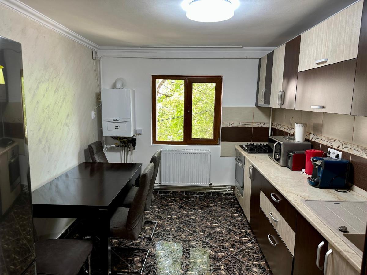 Royal Apartment Buzau Exterior foto